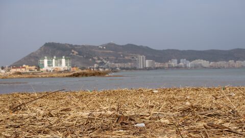 Playas de Cullera llenas de restos