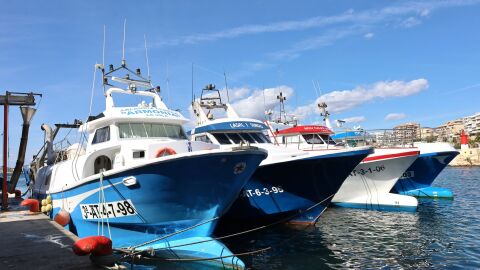 Villajoyosa dona 50 kilos de pescado para los men&uacute;s a afectados por la DANA tras regresar los pescadores al mar