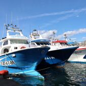 Villajoyosa dona 50 kilos de pescado para los menús a afectados por la DANA tras regresar los pescadores al mar