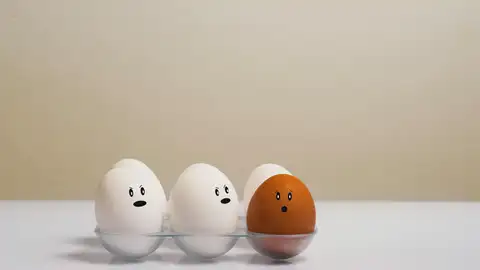 Harvard determina cuántos huevos hay que comer a la semana Harvard determina cuántos huevos hay que comer a la semana