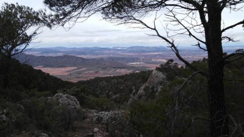 Vista de la Sierra Salinas en Villena.