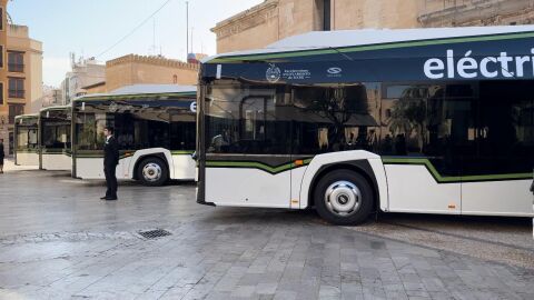 Nuevos autobuses cien por cien el&eacute;ctrico que ha adquirido Elche. 