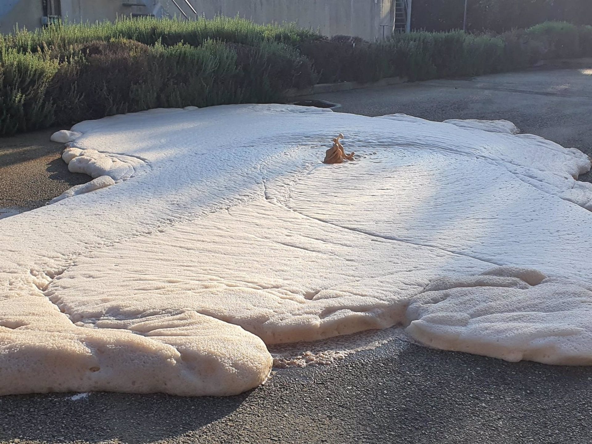 Detectados en Écija seis vertidos ilegales de aguas residuales industriales al alcantarillado Detectados en Écija seis vertidos ilegales de aguas residuales industriales al alcantarillado