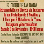 toros toros