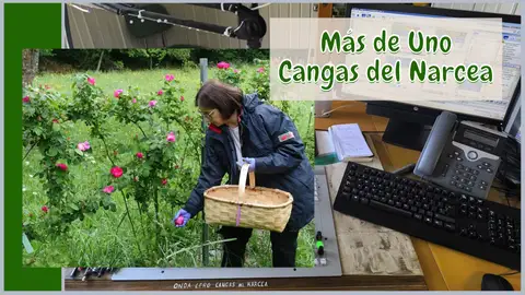 Más de Uno Cangas del Narcea 6/11/2024 Más de Uno Cangas del Narcea 6/11/2024