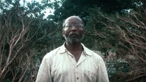 Yo vi tres luces negras Yo vi tres luces negras