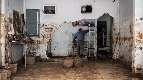 Temporal Dana Temporal Dana