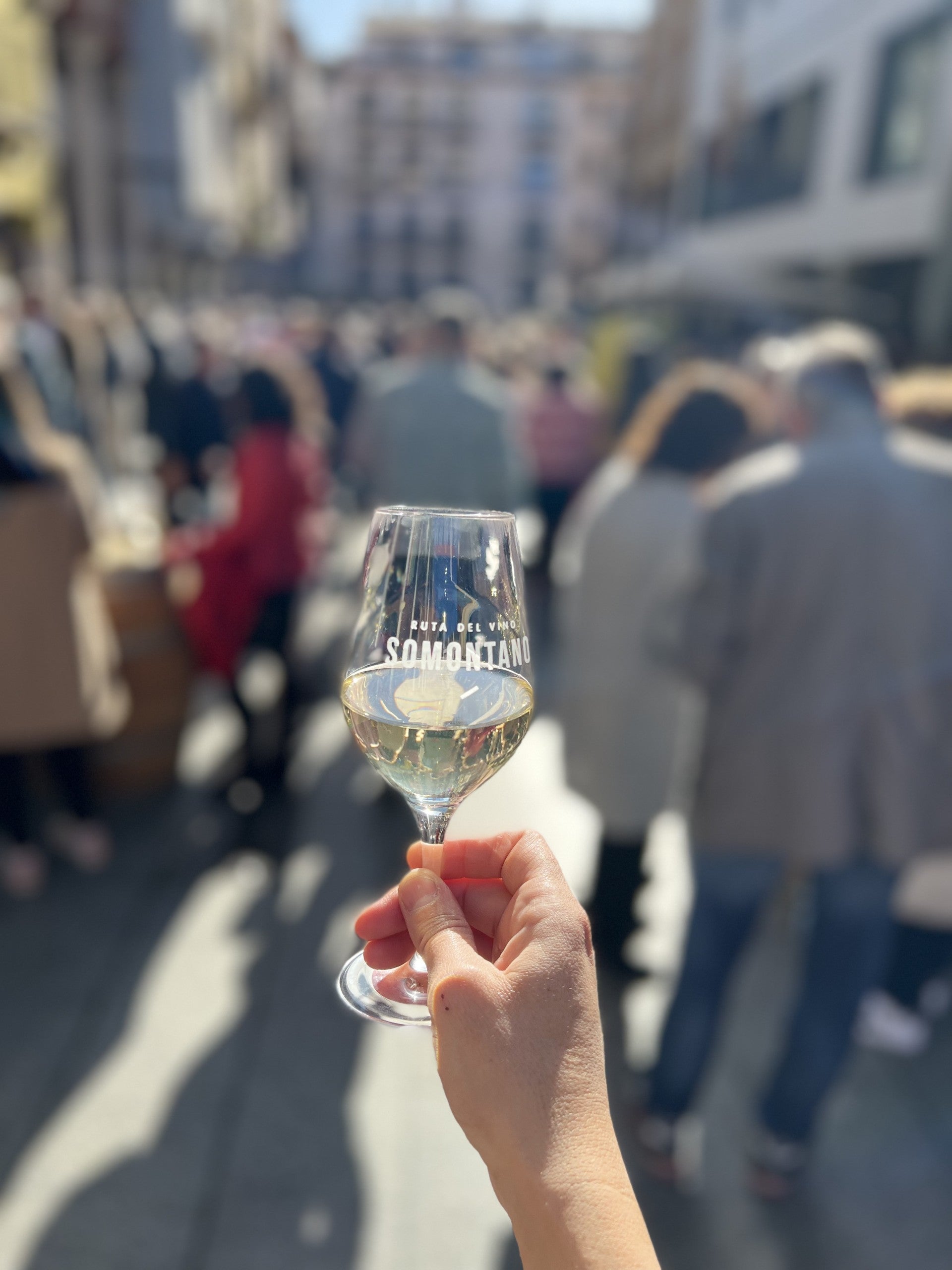 La Ruta del Vino Somontano conmemora el Día Mundial del Enoturismo La Ruta del Vino Somontano conmemora el Día Mundial del Enoturismo