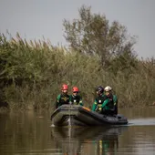 Imagen de efectivos de la Guardia Civil en búsqueda de desaparecidos en el lago de l'Albufera de València. Imagen de efectivos de la Guardia Civil en búsqueda de desaparecidos en el lago de l'Albufera de València.