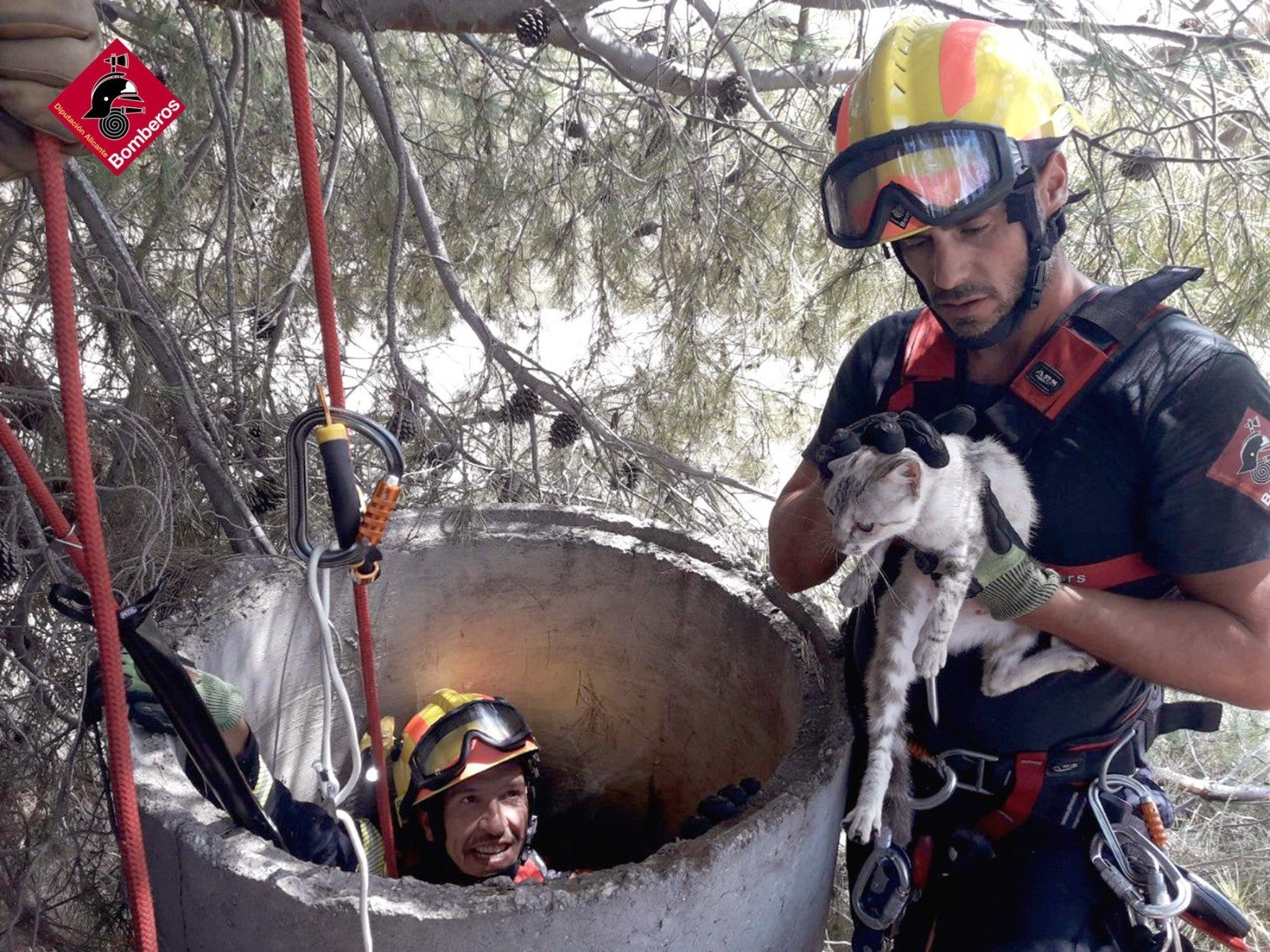 En Más de uno Alicante conocemos las iniciativas de ayuda para los animales afectados por la DANA En Más de uno Alicante conocemos las iniciativas de ayuda para los animales afectados por la DANA