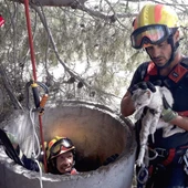 Rescate gatos Rescate gatos