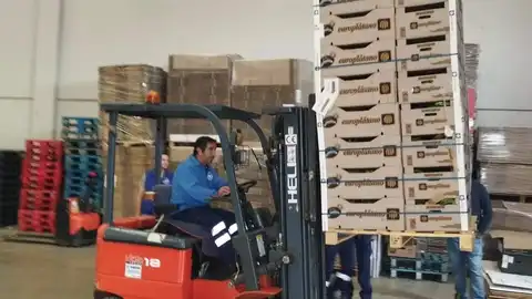 Recogida de productos en una nave salmantina Recogida de productos en una nave salmantina