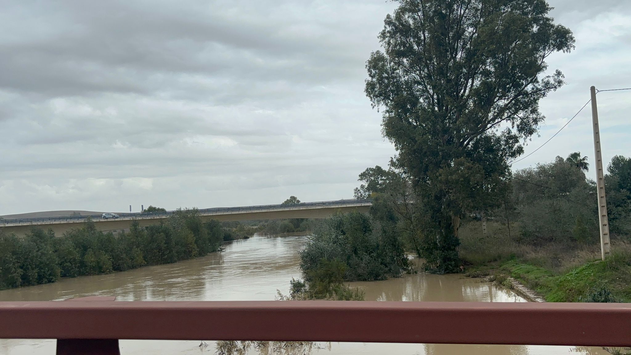 Los expertos responden sobre los riesgos de las lluvias: "El mal uso del territorio ha hecho que se agraven las inundaciones" Los expertos responden sobre los riesgos de las lluvias: "El mal uso del territorio ha hecho que se agraven las inundaciones"