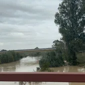 Río Guadalete a su paso por Jerez Río Guadalete a su paso por Jerez