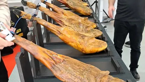 jamones jamones