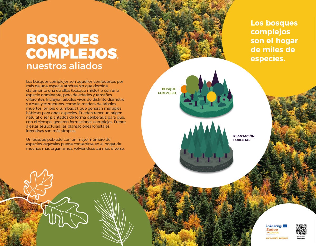 El proyecto ERA acerca la ciencia al Nordeste segoviano desde hoy con una exposición sobre los bosques El proyecto ERA acerca la ciencia al Nordeste segoviano desde hoy con una exposición sobre los bosques