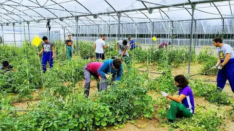 Jóvenes agricultores Jóvenes agricultores