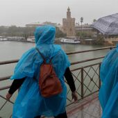 Temporal de lluvia en Sevilla (Andalucía)