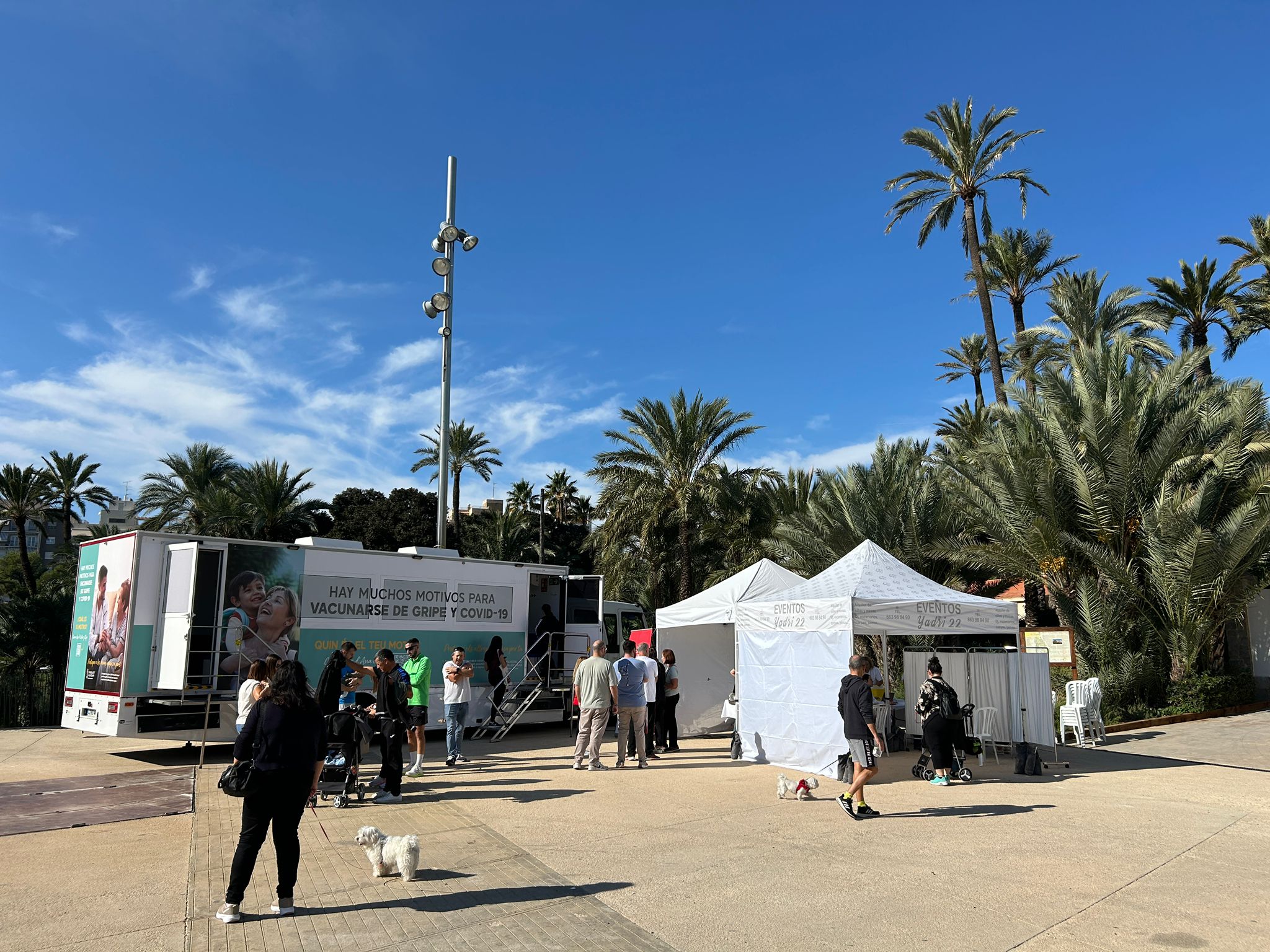 La unidad móvil de Sanidad administra en Elche más de 800 vacunas contra la gripe y el covid-19 en un día La unidad móvil de Sanidad administra en Elche más de 800 vacunas contra la gripe y el covid-19 en un día