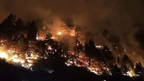 Imagen del incendio declarado en la noche del lunes 11 de noviembre en El Paso, La Palma Imagen del incendio declarado en la noche del lunes 11 de noviembre en El Paso, La Palma