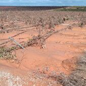 ASAJA valora en más de 1.000 millones de euros los daños ocasionados por la DANA en la agricultura y la ganadería