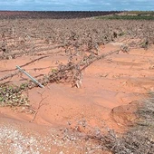 ASAJA valora en más de 1.000 millones de euros los daños ocasionados por la DANA en la agricultura y la ganadería ASAJA valora en más de 1.000 millones de euros los daños ocasionados por la DANA en la agricultura y la ganadería