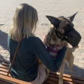 Perro protección oficial