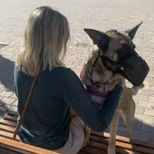 Perro protección oficial Perro protección oficial