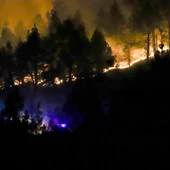 Imagen del incendio declarado en la noche del lunes 11 de noviembre en El Paso, La Palma Imagen del incendio declarado en la noche del lunes 11 de noviembre en El Paso, La Palma