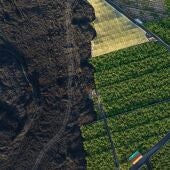 Erupción de lava al lado de una plantación