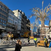 Los árboles artificiales ¨okupan" la Puerta del Sol Los árboles artificiales ¨okupan" la Puerta del Sol