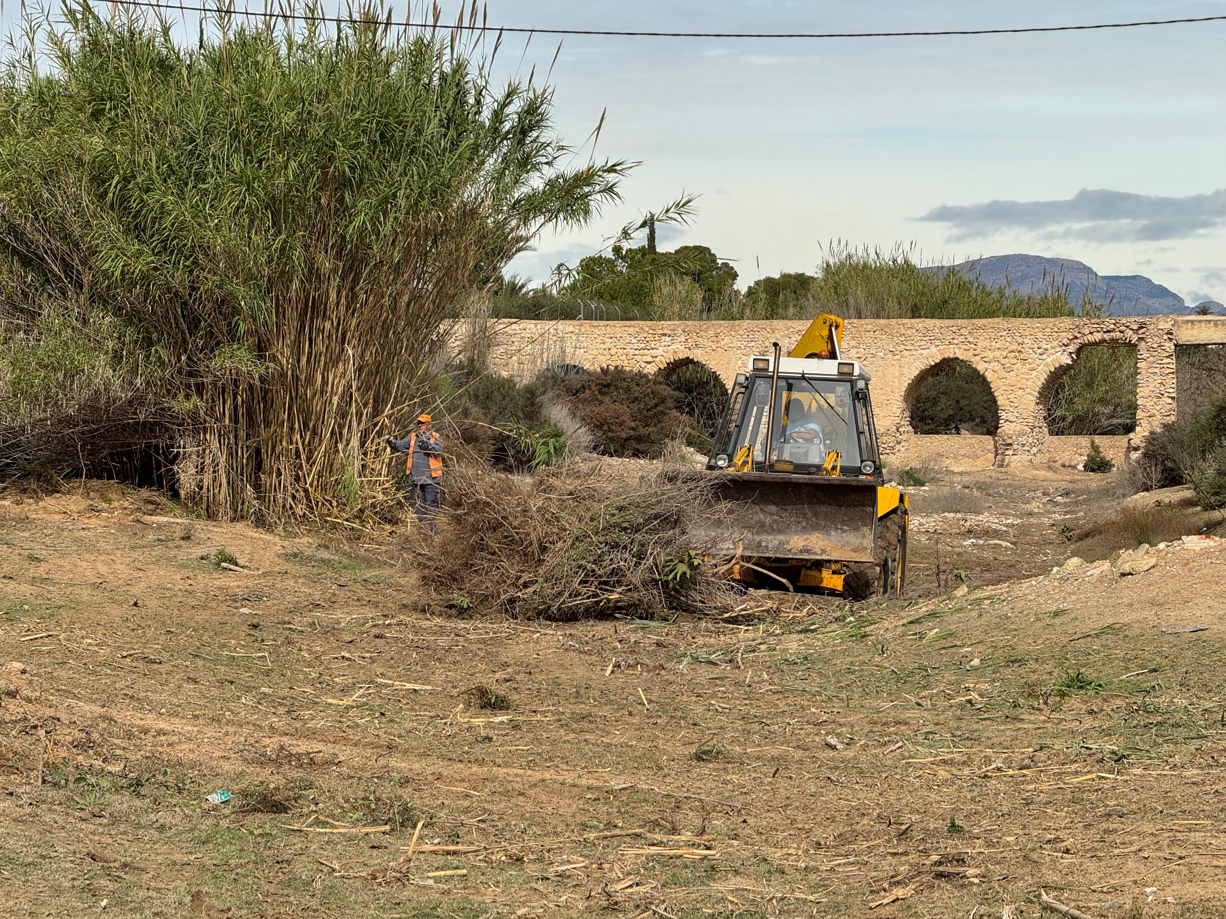 El pleno municipal de Elche acuerda por unanimidad pedir a las confederaciones hidrográficas la limpieza de barrancos El pleno municipal de Elche acuerda por unanimidad pedir a las confederaciones hidrográficas la limpieza de barrancos