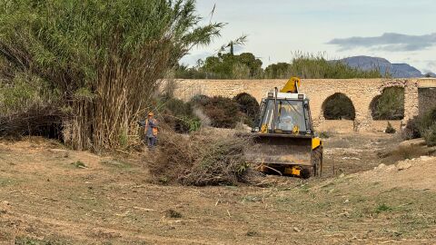 Labores del limpieza del Ayuntamiento de Elche en el barranco de los Arcos.