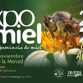 La miel como reclamo turístico para conocer nuestros pueblos La miel como reclamo turístico para conocer nuestros pueblos