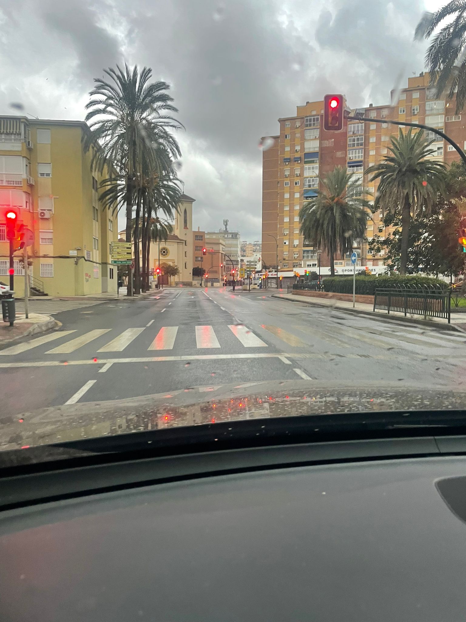 Teresa Porras, concejala de Servicios Operativos: "Málaga puede llorar con un ojo" Teresa Porras, concejala de Servicios Operativos: "Málaga puede llorar con un ojo"