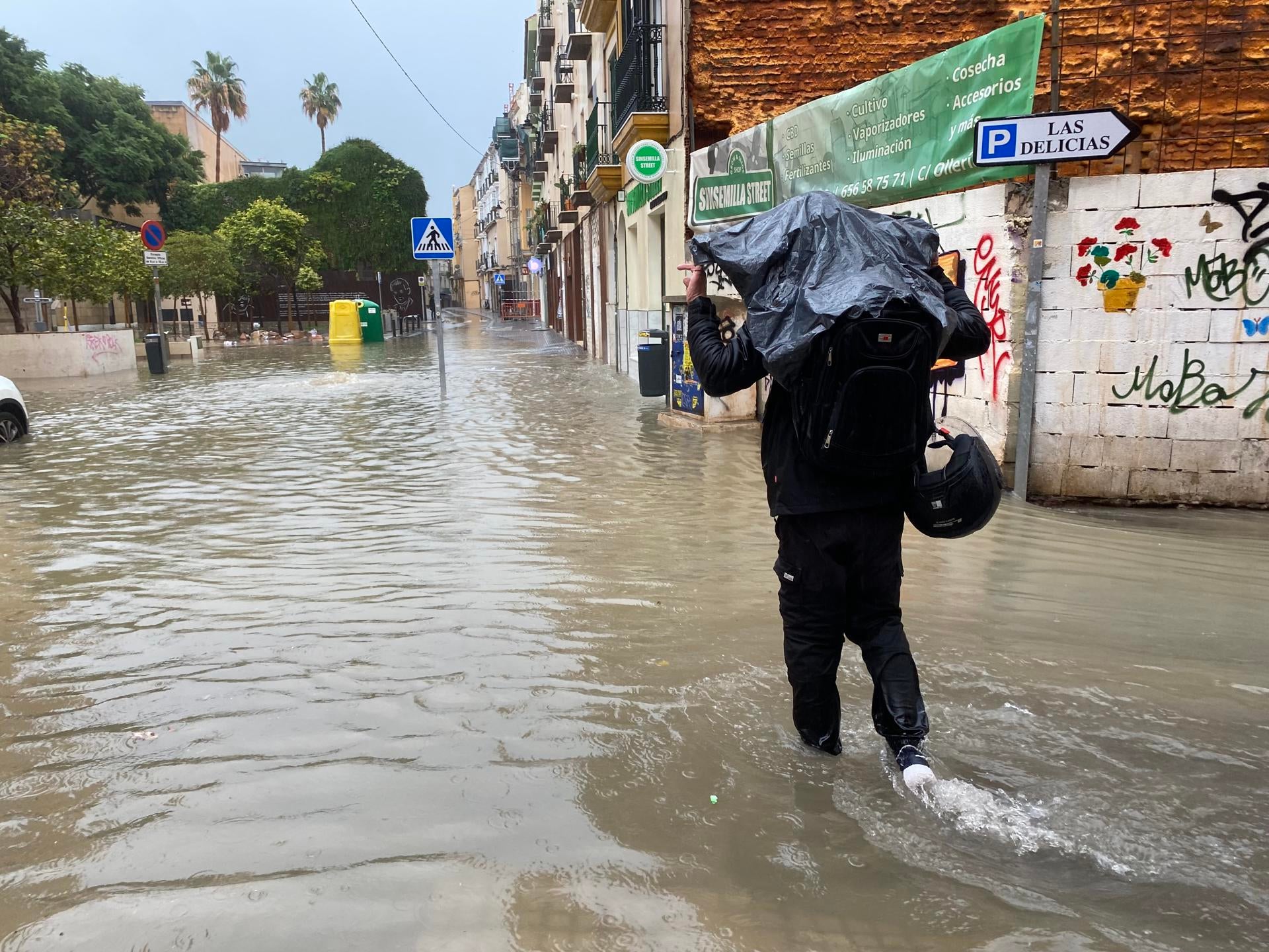 Los vídeos y las imágenes del paso de la DANA en Málaga: inundaciones en calles y edificios Los vídeos y las imágenes del paso de la DANA en Málaga: inundaciones en calles y edificios