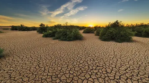 Las ayudas se pagarán en diciembre a más de 3.000 afectados por la sequía Las ayudas se pagarán en diciembre a más de 3.000 afectados por la sequía