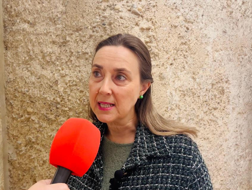 El PSOE de Elche propone que los Distritos destinen parte de su presupuesto a una donación para los afectados por la DANA El PSOE de Elche propone que los Distritos destinen parte de su presupuesto a una donación para los afectados por la DANA