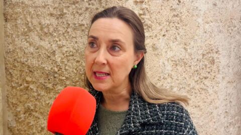 Mar&iacute;a Jos&eacute; Mart&iacute;nez, concejala del PSOE en el Ayuntamiento de Elche.