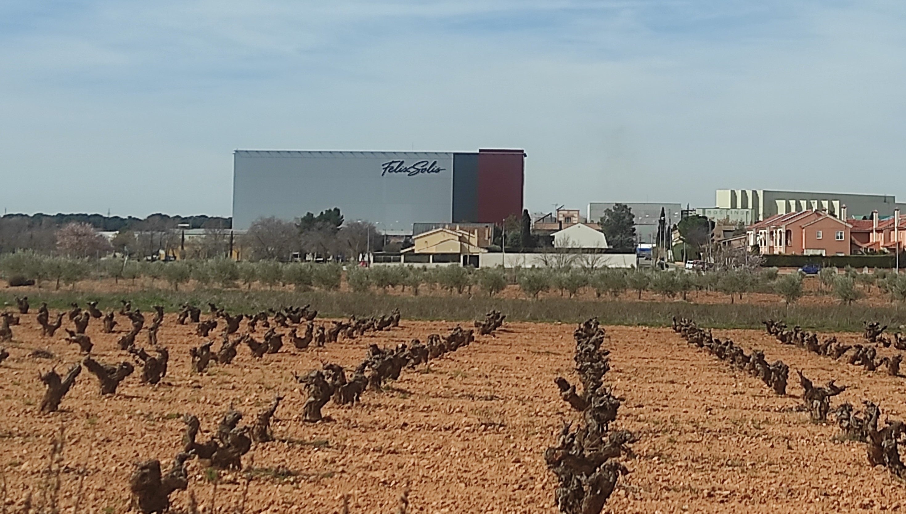 FECIR premia a Félix Solís Avantis de Valdepeñas y Cooperativa Jesús del Perdón de Manzanares FECIR premia a Félix Solís Avantis de Valdepeñas y Cooperativa Jesús del Perdón de Manzanares