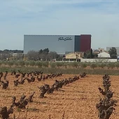 Bodegas Félix Solís Avantis en Valdepeñas Bodegas Félix Solís Avantis en Valdepeñas