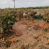 LA UNIO Paquete ayudas LA UNIO Paquete ayudas