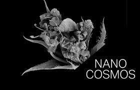 Albacete disfrutará en Navidades de la exposición 'Nanocosmos' Albacete disfrutará en Navidades de la exposición 'Nanocosmos'