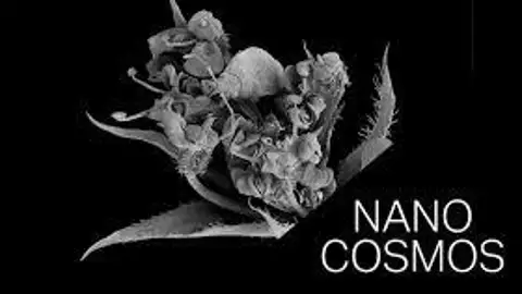 Albacete disfrutará en Navidades de la exposición 'Nanocosmos' Albacete disfrutará en Navidades de la exposición 'Nanocosmos'