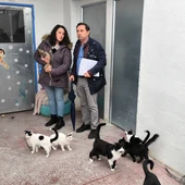 El concejal de Servicios a la ciudad, Gregorio OraáIsabel Peco, presidenta de la asociación Gatómicas El concejal de Servicios a la ciudad, Gregorio OraáIsabel Peco, presidenta de la asociación Gatómicas