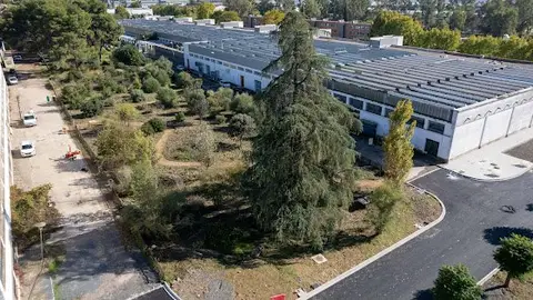 El Bosque Universitario de la Universidad de Córdoba, candidato a premio “Bosque urbano del año” 2025 en España El Bosque Universitario de la Universidad de Córdoba, candidato a premio “Bosque urbano del año” 2025 en España