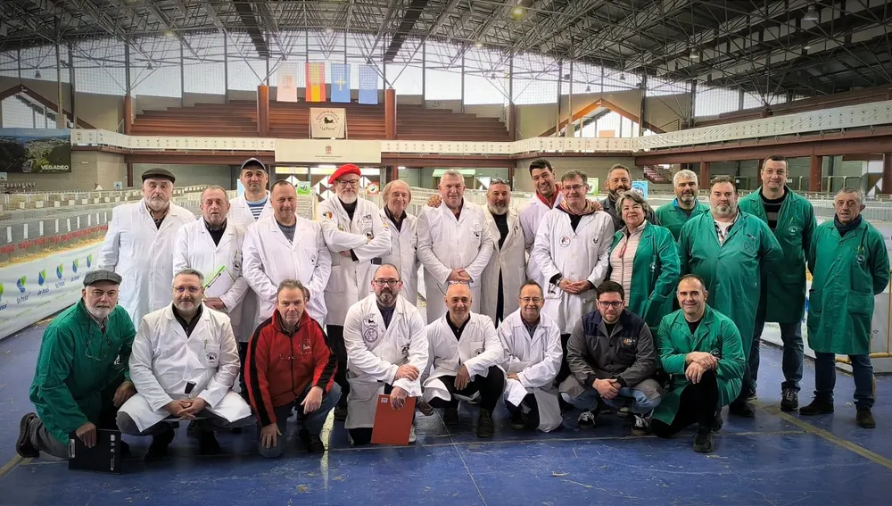 Un total de 17 jueces juzgaran los monográficos y campeonatos. Un total de 17 jueces juzgaran los monográficos y campeonatos.