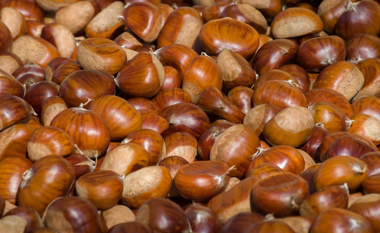Castañas, un fruto seco muy versátil: Propiedades y beneficios para la salud Castañas, un fruto seco muy versátil: Propiedades y beneficios para la salud