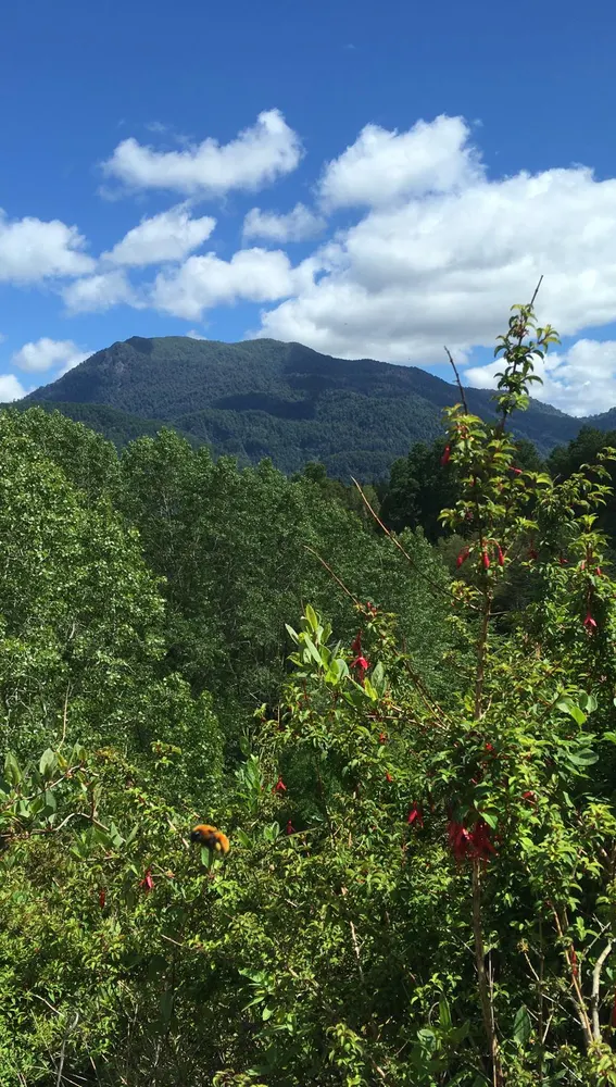 Naturaleza de Chile Naturaleza de Chile