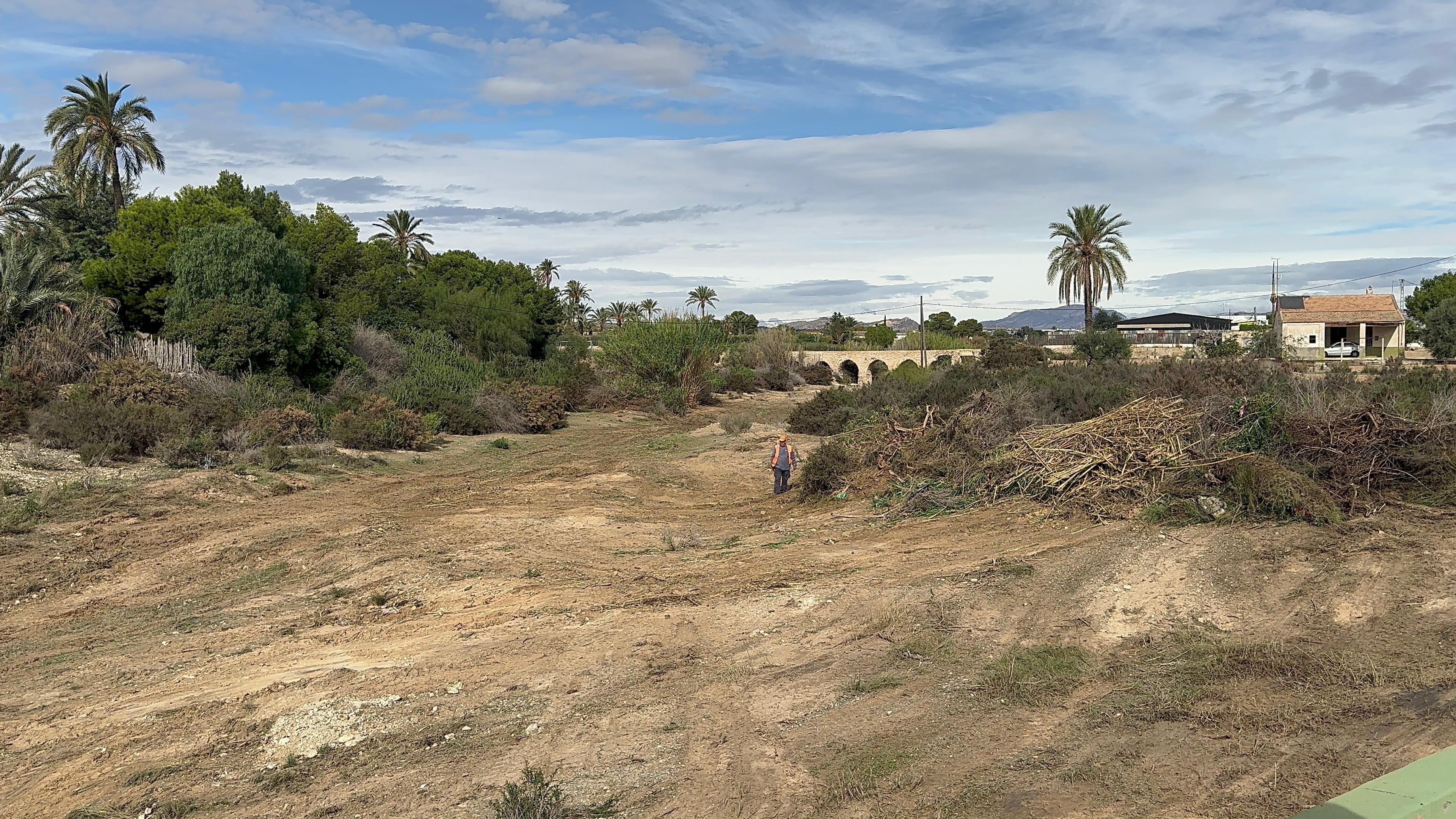 El PSOE de Elche pide conocer en base a qué autorización o informe municipal se han limpiado los barrancos del municipio El PSOE de Elche pide conocer en base a qué autorización o informe municipal se han limpiado los barrancos del municipio